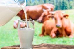 Leche Inestable No Ácida – LINA                                                                                                 