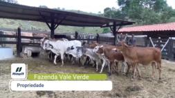 Homeopatia Hágil - Fazenda Vale Verde - Teófilo Otoni/MG