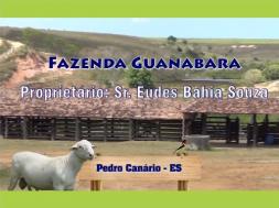 Homeopatia Hágil - Fazenda Guanabara Virtus - Pedro Canário / ES