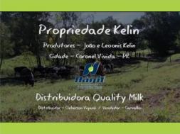 Homeopatia Hágil - Propriedade Kelin - Coronel Vivida / PR