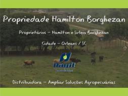 Homeopatia Hágil - Propriedade Hamilton Borghezan - Orleans / SC