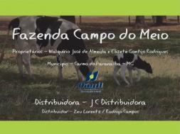 Homeopatia Hágil - Fazenda Campo do Meio - Carmo do Paranaíba / MG