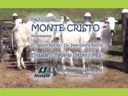 Homeopatia Hágil - Fazenda Monte Cristo - Teófilo Otoni - MG