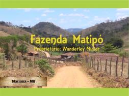 Homeopatia Hágil - Fazenda Matipó Bloco 1 Mix 