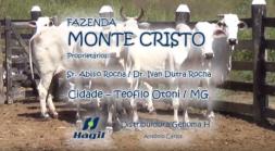 Homeopatia Hágil - Fazenda Monte Cristo - Teófilo Otoni - MG